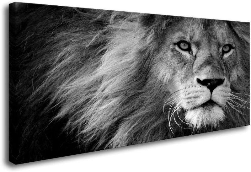 Photo 1 of 23.5 x 35.5 Canvas Prints Wall Art Grey Lion Stretched Canvas Wooden