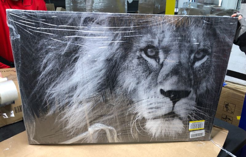 Photo 2 of 23.5 x 35.5 Canvas Prints Wall Art Grey Lion Stretched Canvas Wooden