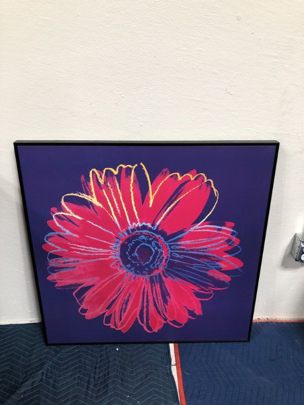 Photo 1 of McGraw Graphics Daisy Yellow  Pink Print Style Artwork Approx 36 x 36 Framed in Black