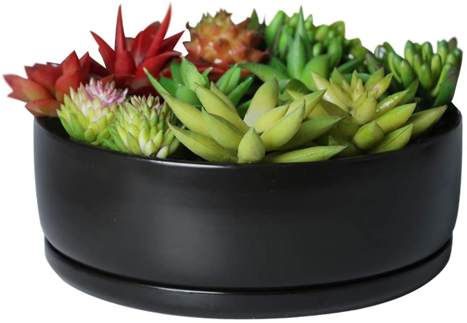 Photo 1 of SQOWL 8 Inch Modern Round Flower Pot Ceramic Cactus Succulent Planter Bowl with Removable Saucer, BROWN