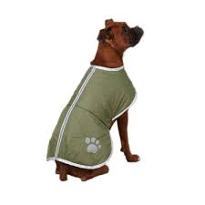 Photo 1 of Zack Zoey Nor'easter Dog Blanket Coat Chive Small