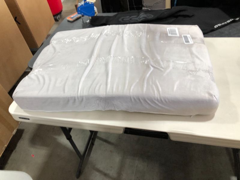 Photo 1 of 30x20x3 inch pet mattress