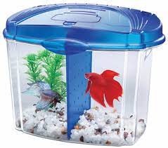 Photo 1 of Aqueon 0.5-Gallon Betta Bowl Desktop Aquarium Kit - Blue