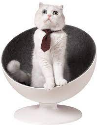 Photo 1 of Boss Cat Bed Armchair - Ø42 cm - For cats
