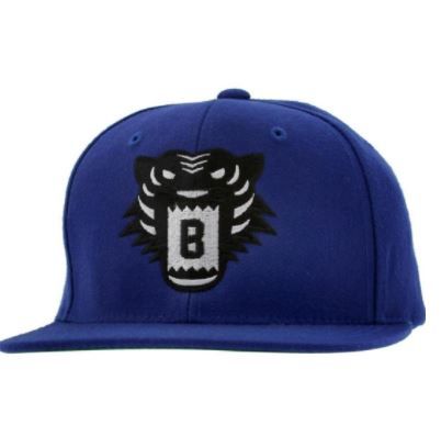 Photo 1 of BAIT TIGER SNAPBACK CAP (ROYAL / GREEN) Size- 1S
