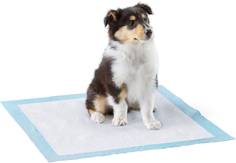 Photo 1 of Amazon Basics Dog and Puppy Pads, Leak-proof 5-Layer Pee Pads with Quick-dry Surface for Potty Training 50 COUNT 