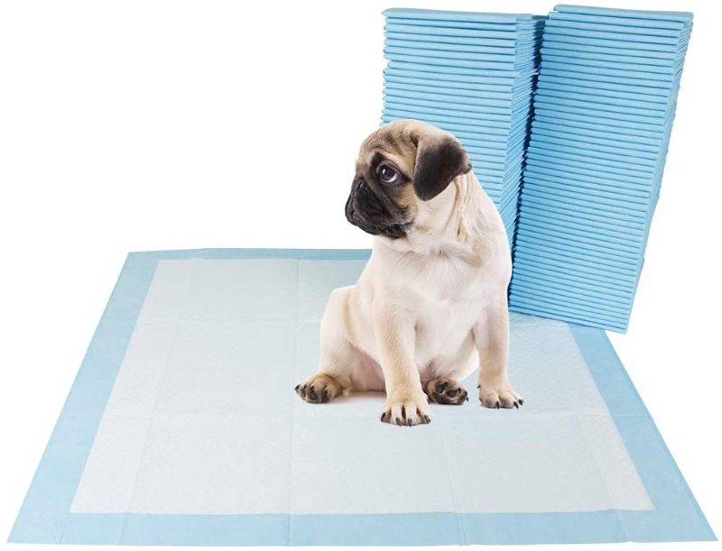 Photo 1 of Amazon Basics Dog and Puppy Pads, Leak-proof 5-Layer Pee Pads with Quick-dry Surface for Potty Training
