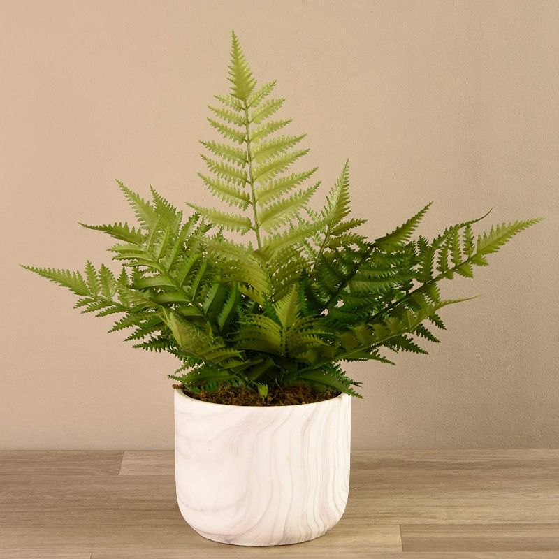 Photo 1 of "BLOOMR Artificial Potted Moss Fern, Trendy Luxury Silk Fabric Green Decorative Indoor Faux Moss Fern Plant, 19"" tall, 2.0 lbs, Vase 5.75""" (4103-90-1)
