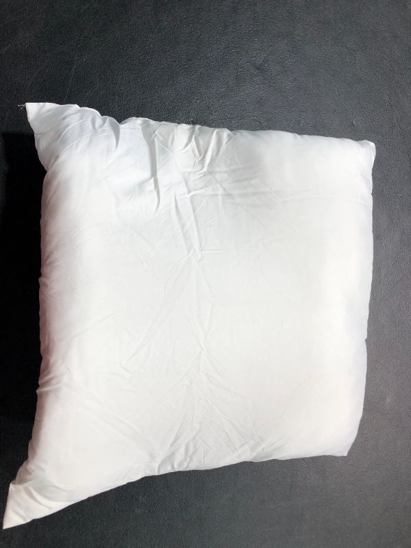 Photo 1 of 17x17 inch Throw pillow insert 