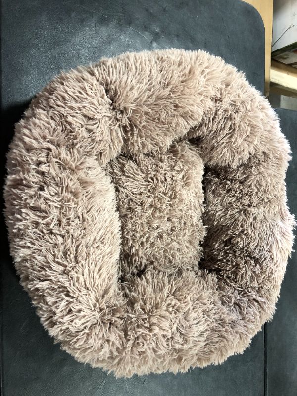 Photo 1 of 24x24 inch Tan Dog Bed 