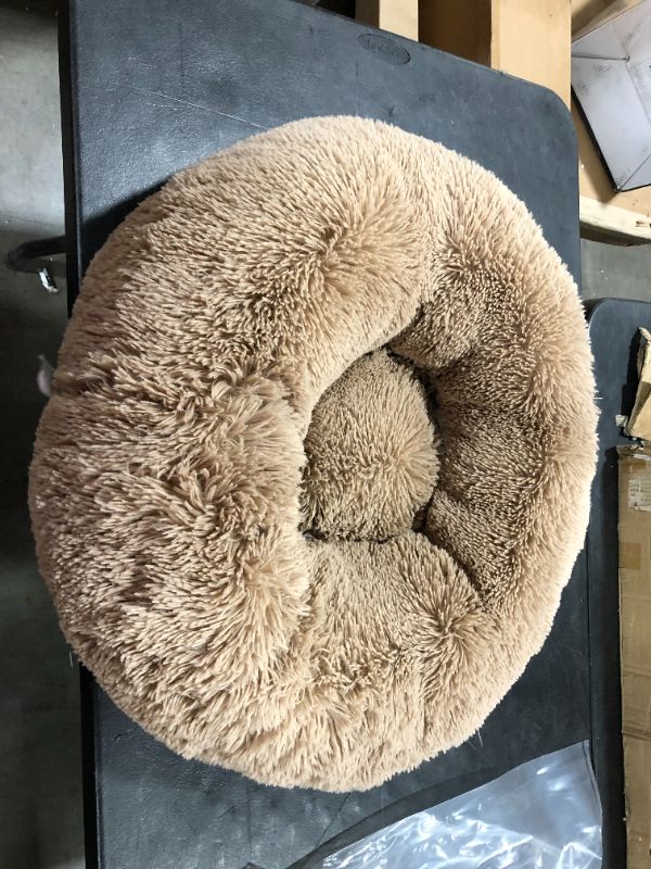 Photo 1 of 24 inch Tan Dog Bed 