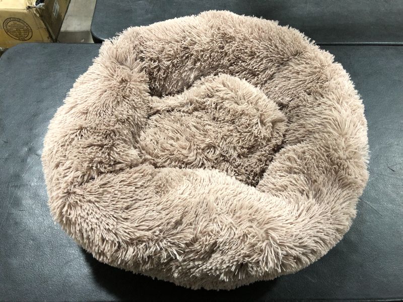 Photo 1 of 24x24 inch Tan Dog Bed 