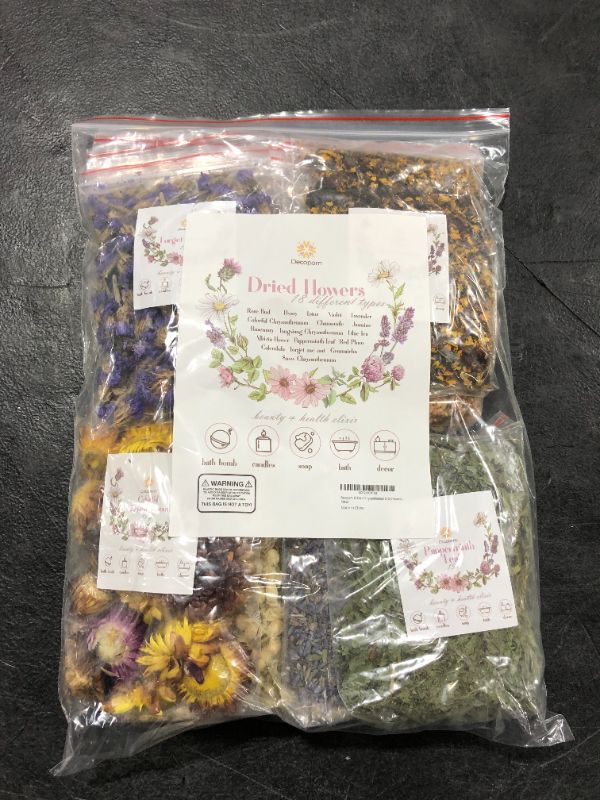 Photo 2 of Decopom 18 Pack Chrysanthemum Dried Flowers
