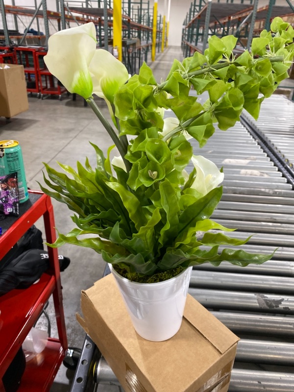 Photo 1 of Artificial white flowers and greenery in white pot, 20" tall