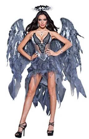 Photo 1 of Fun World Adult Dark Angel's Desire Costume SIZE: MEDIUM