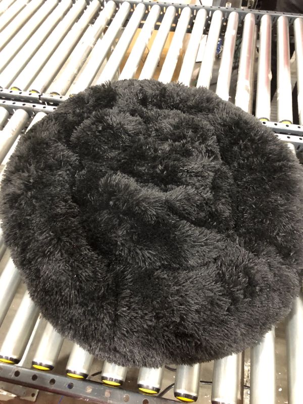 Photo 1 of BLACK DOG BED MEDIUM 