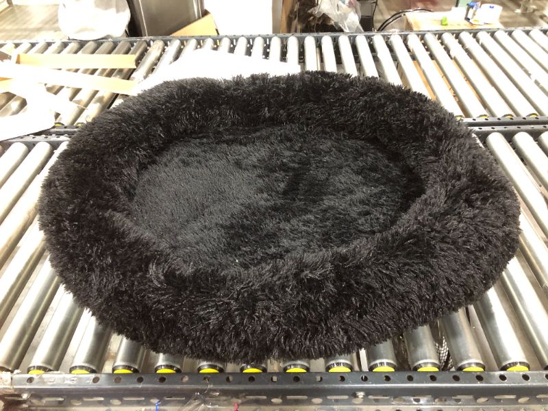 Photo 1 of DOG BED MEDIUM 