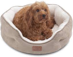 Photo 1 of Bedsure Small Dog Bed for Small Dogs Washable - Round Cat Beds for Indoor Cats, Round Pet Bed for Puppy and Kitten with Slip-Resistant Bottom, 20 Inches
