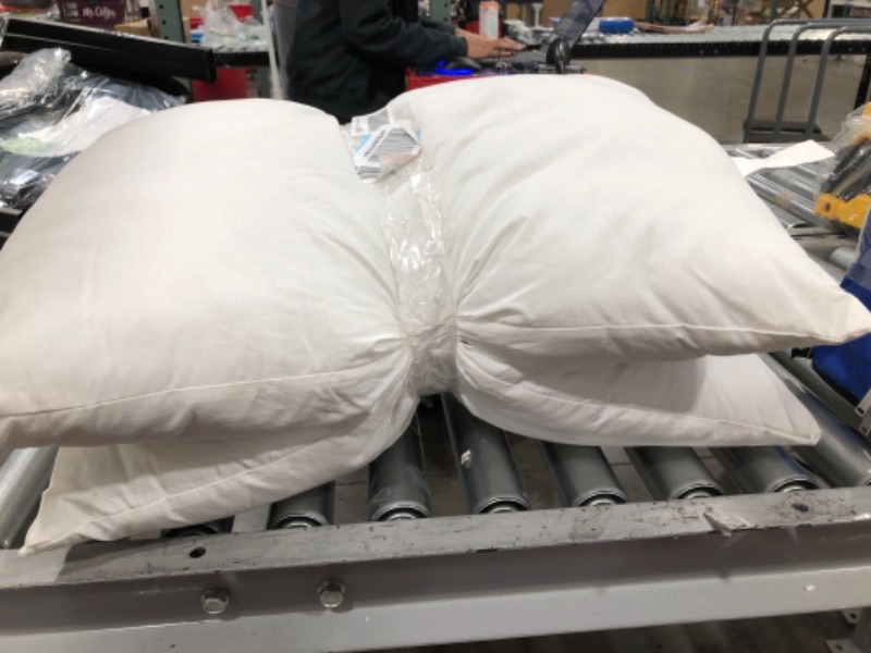 Photo 1 of 2 set Standard Pillows, White