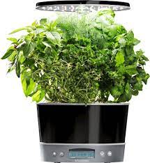 Photo 1 of AeroGarden Harvest Elite 360
