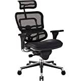 Photo 1 of Eurotech Ergohuman Mesh Back Leather Task Chair, Black (LEM4ERG -LBK(N))
