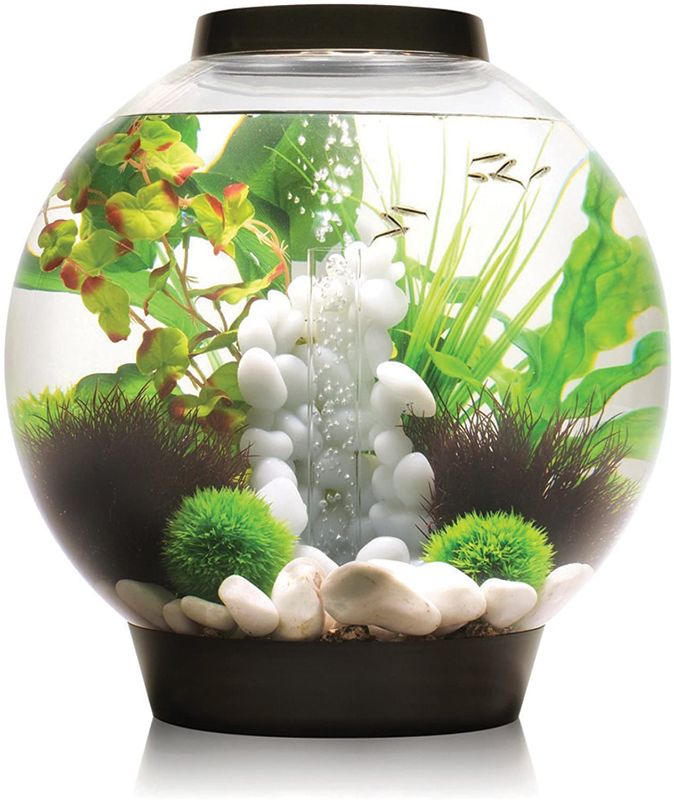 Photo 1 of biOrb Classic Aquarium