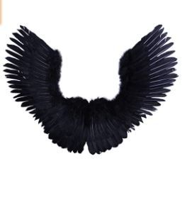 Photo 1 of FashionWings (TM Black Open Swing V Shape Costume Feather Angel Wings Adult Unisex