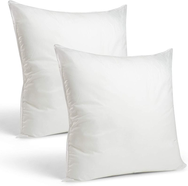 Photo 1 of Visit the Foamily Store
Foamily Throw Pillows Insert Set of 2-26 x 26