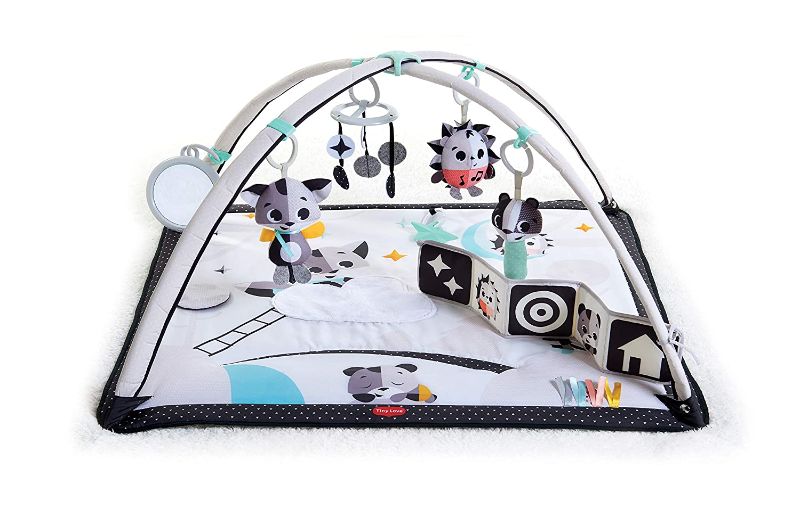 Photo 1 of Tiny Love Black & White Gymini Infant Activity Play Mat With Book, Magical Tales, Deluxe, 1