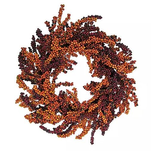 Photo 1 of 22-Inch Fall Berry Wreath