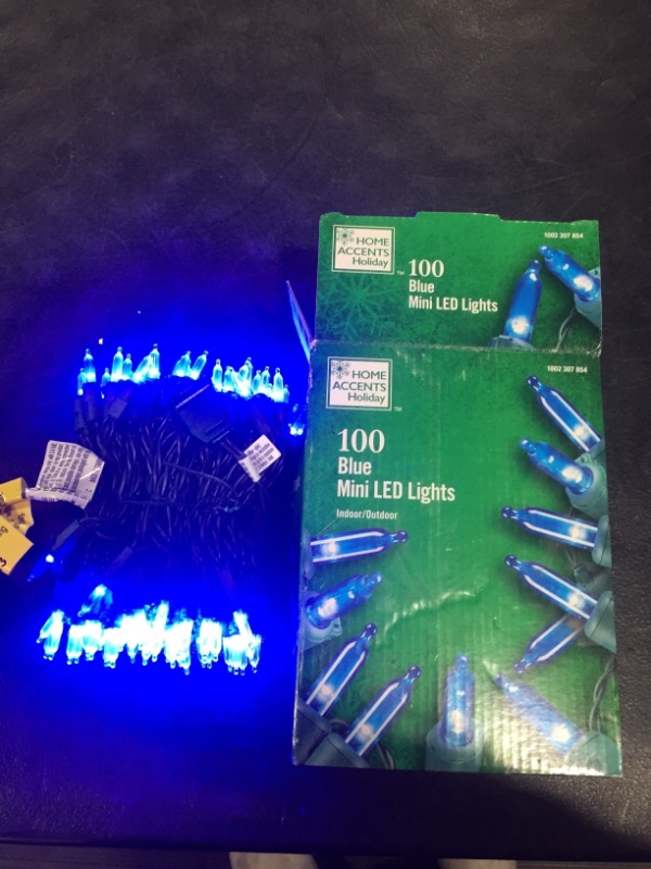 Photo 2 of 28.8 ft. 100-Light Blue Mini LED Light Set
