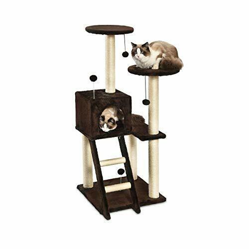 Photo 1 of Basics Large Dual Platform Cat Condo Tree Tower - 19 x 50 x 19 Inches Dark Brown
