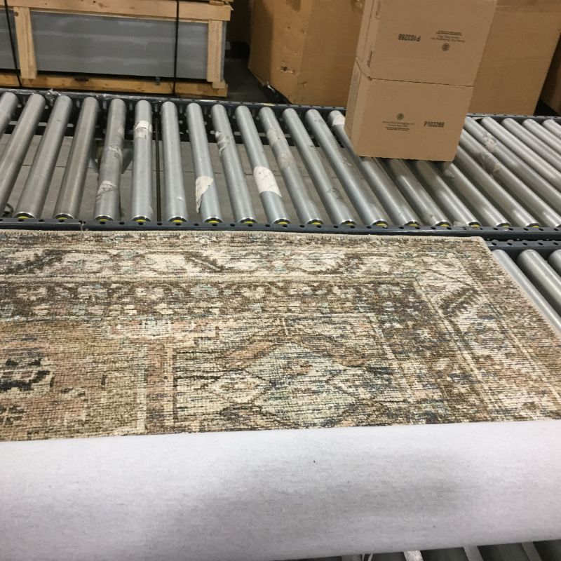 Photo 1 of Amber Lewis x Loloi Billie 8'6" x 11'6" Clay and Sage Area Rug
