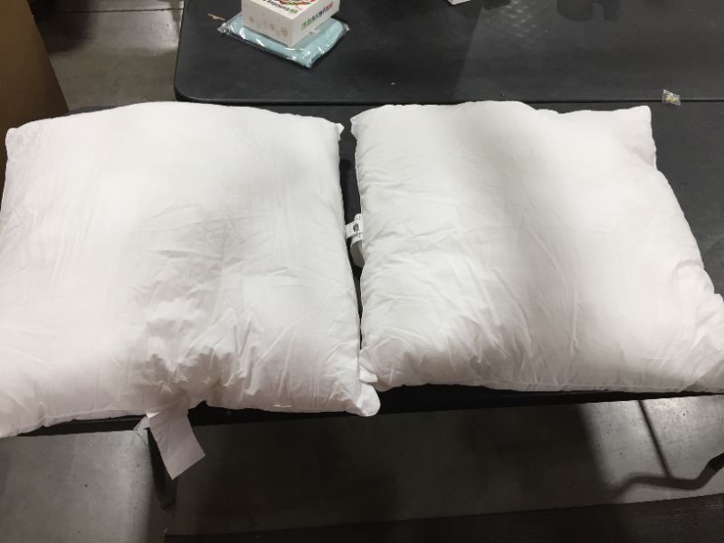 Photo 1 of 28x28 inch White Pillow inserts pack of 2 