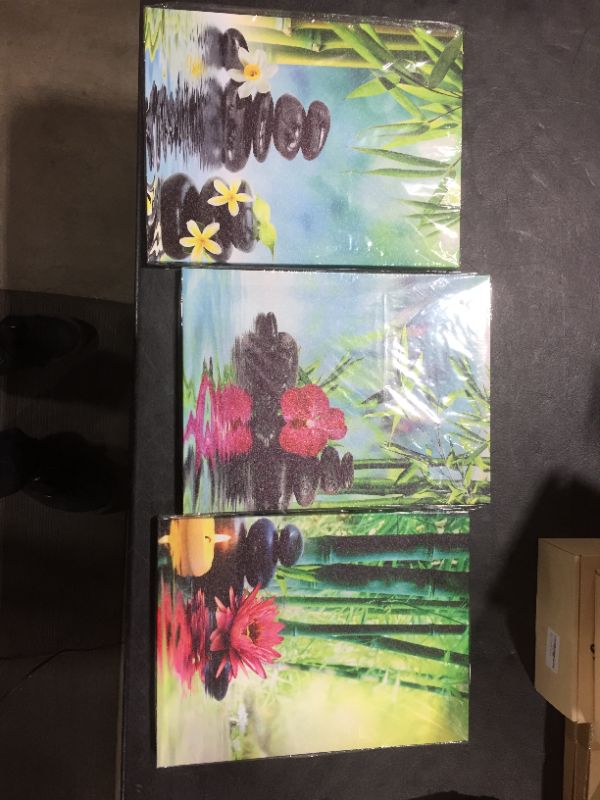 Photo 1 of Canvas Painting set of 3