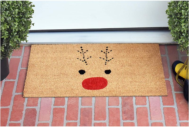 Photo 1 of Calloway Mills 105011729 Rudolph Doormat, 17" x 29"
