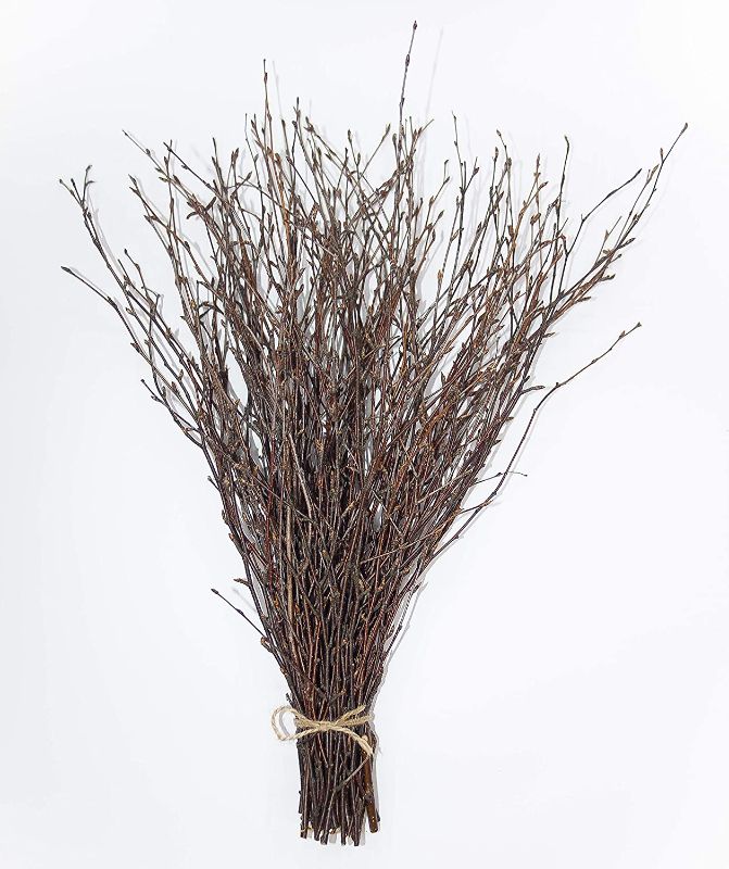 Photo 1 of 50 psc. Birch Twigs – 100% Natural Decorative Birch Branches for Vases, Centerpieces & DIY Crafts – Birch Sticks for Decorating (17-18 Inch)
