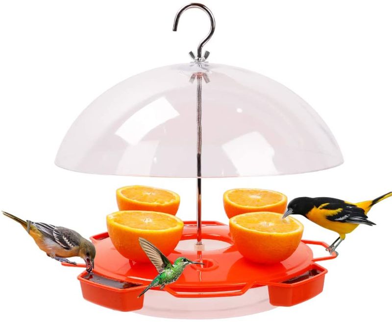 Photo 1 of Solution4Patio Baltimore Oriole Feeder Hummingbird Combination, 3 Types Food, Orange, Grape Jelly, Nectar, 34-Ounce Nectar Capacity, Weather Guard Squirrel Baffle #G-B122A00
