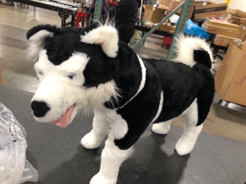 Photo 3 of Melissa & Doug Giant Siberian Husky - Lifelike Stuffed Animal Dog (over 2 feet tall)
