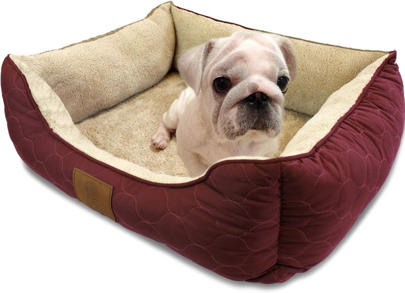 Photo 1 of American Kennel Club Orthopedic Circle Stitch Cuddler Pet Bed