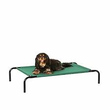 Photo 1 of Amazon Basics Cooling Elevated Pet Bed Small 36 x 22 x 7.5 Inches Green