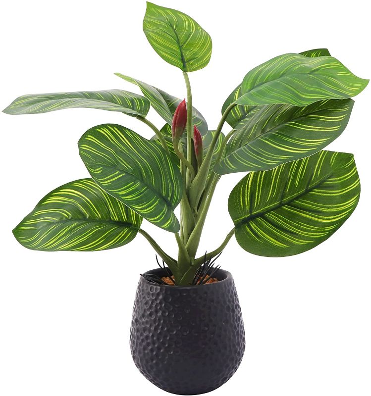 Photo 1 of Artificial Potted Plants, 13" Fake Plants in Ceramic Pots Faux Potted Plants with Fake Artificial Plants for Home Decor Indoor Bedroom Aesthetic Office Desk Boho Farmhouse Decoration, Palm Leaves