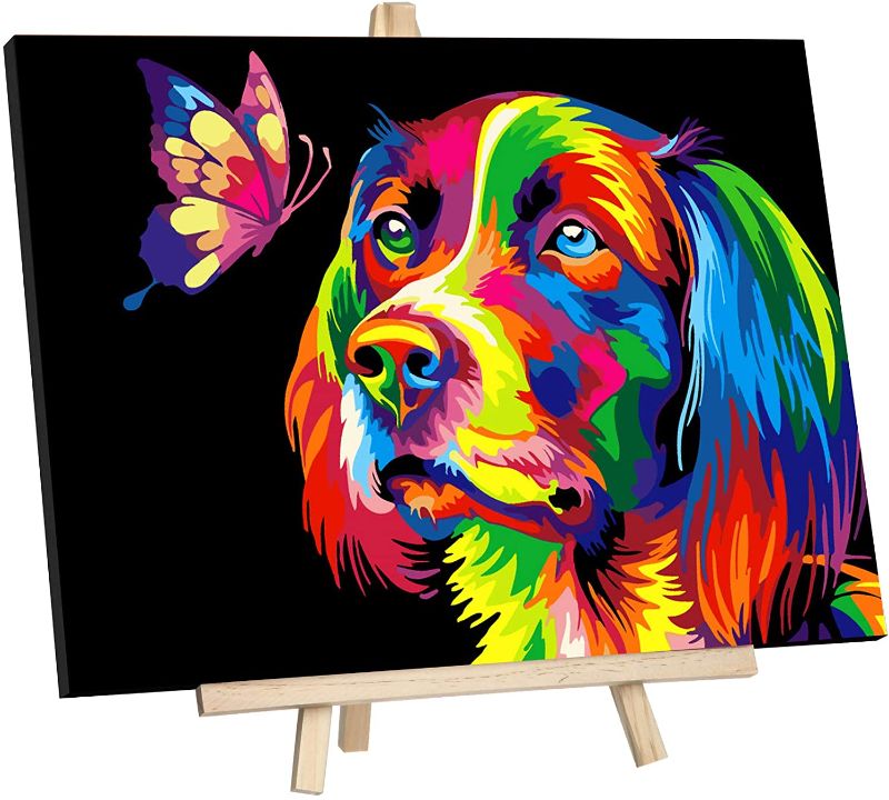 Photo 1 of DIY Oil Painting, Paint by Numbers for Kids & Adults & Beginner Painting Gift Kits - 16" × 12" Colorful Butterflies and Dog Framed