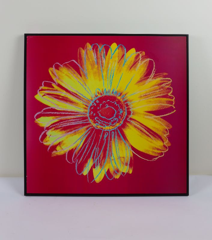 Photo 1 of Andy Warhole Daisy Crimson and Pink 34 X 34 Inches
