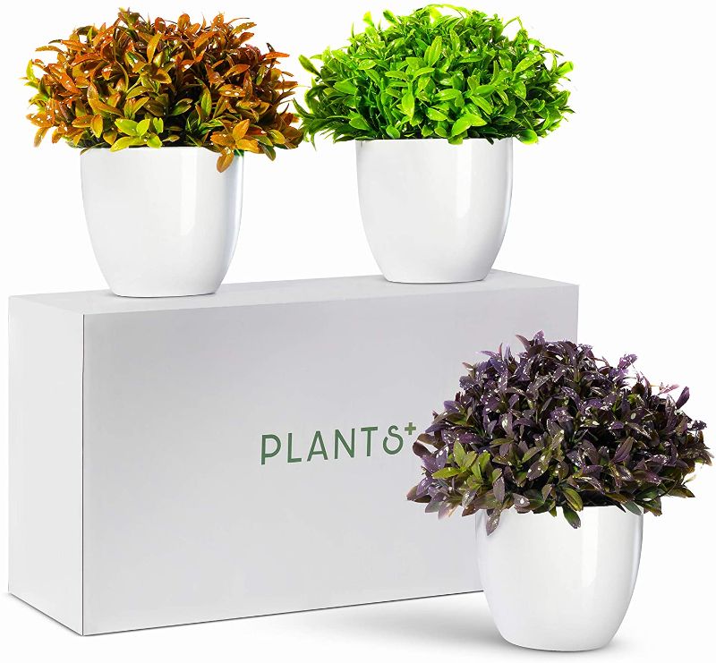 Photo 1 of Plants+ Artificial Fake Faux Indoor House Desk Office Plant for Decoration - Plastic Lifelike Flower with White Pot, Outdoor Decor Topiary Greenery, Set of 3, Spring Bloom