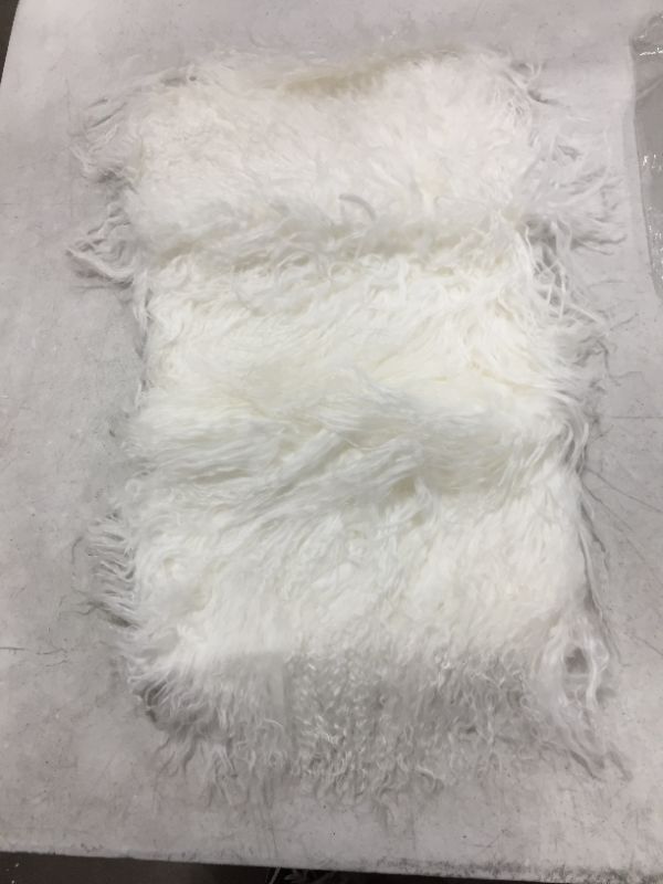 Photo 1 of 21x12 white furry rug 