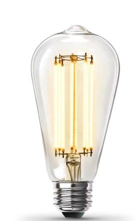 Photo 1 of  Feit Electric 100-Watt Equivalent ST19 Dimmable Straight Filament Clear Glass Vi

