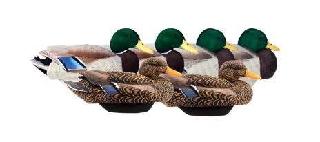 Photo 1 of 6 Piece Lifetime Decoys FlexFloat Flocked Mallard Duck Decoys with Cable Rigs