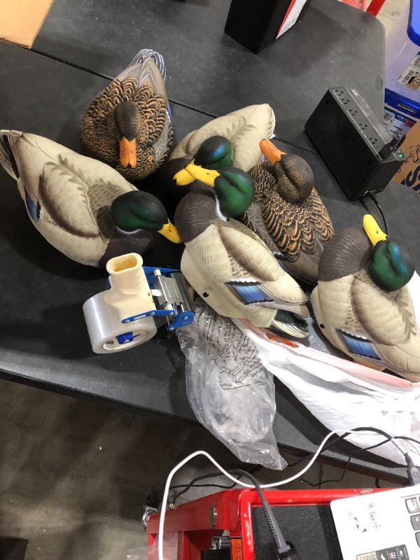 Photo 2 of 6 Piece Lifetime Decoys FlexFloat Flocked Mallard Duck Decoys with Cable Rigs