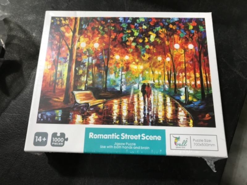 Photo 1 of 1000 piece puzzle romantic street scene